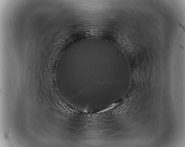 X0000097501009200802291553