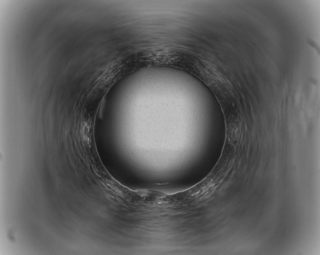 X0000097501010200802291553
