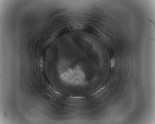 X0000097501011200802291553