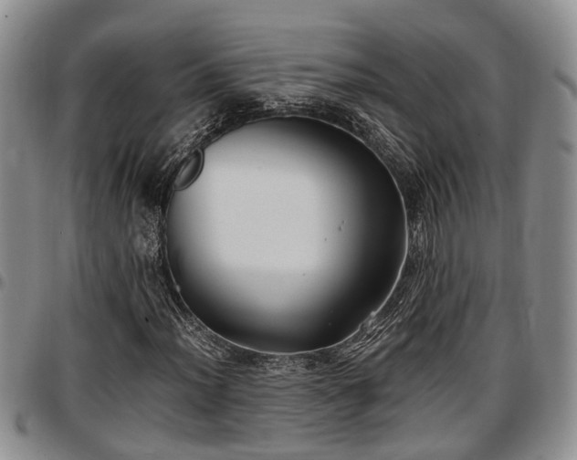 X0000097501012200802291553