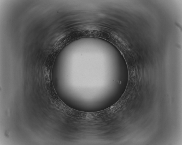 X0000097501013200802291553