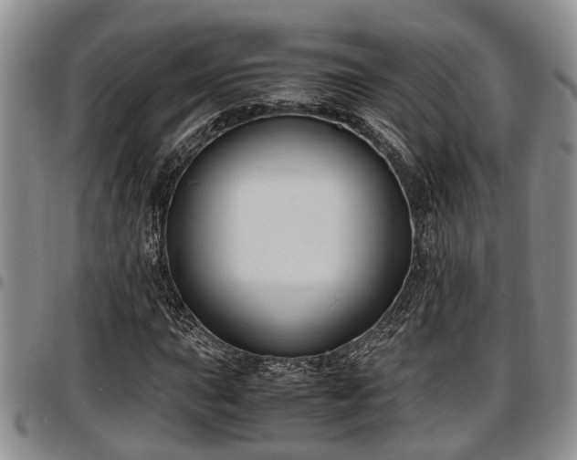 X0000097501015200802291553