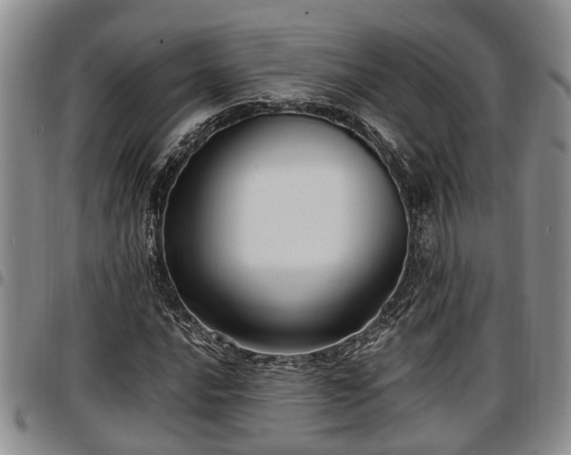 X0000097501016200802291553