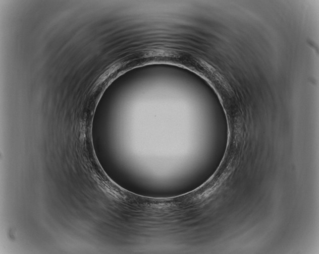 X0000097501017200802291553
