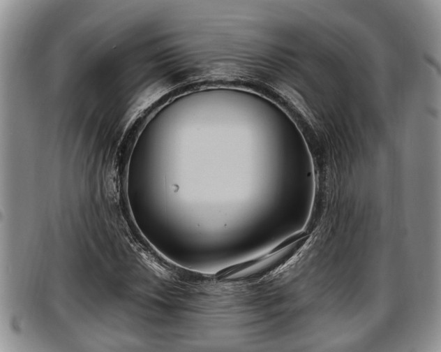 X0000097501018200802291553