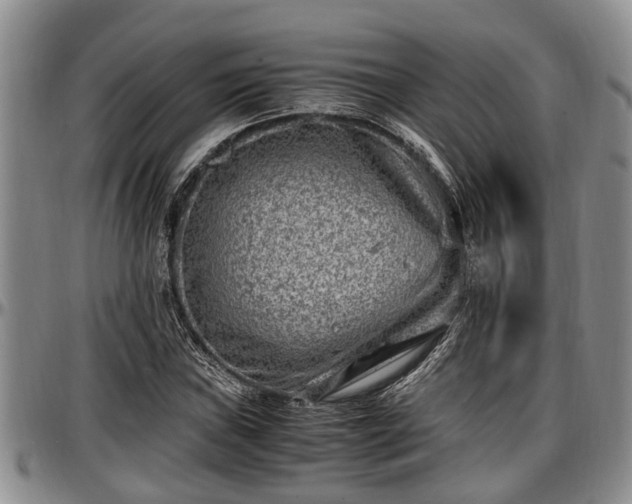 X0000097501019200802291553
