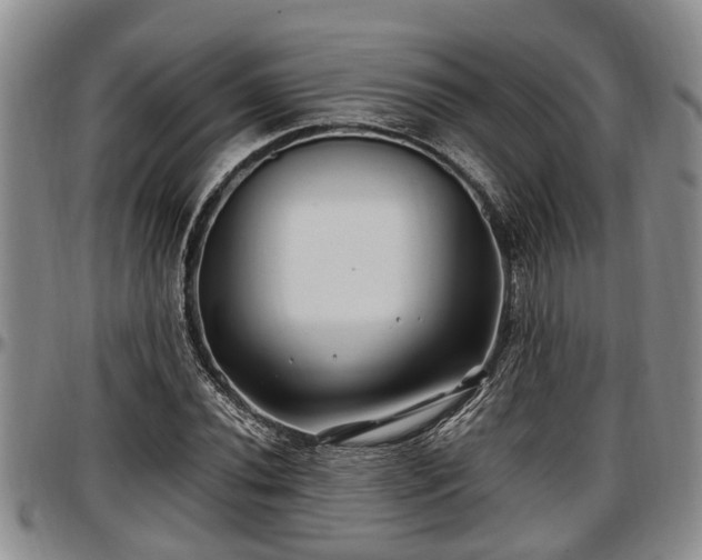 X0000097501020200802291553