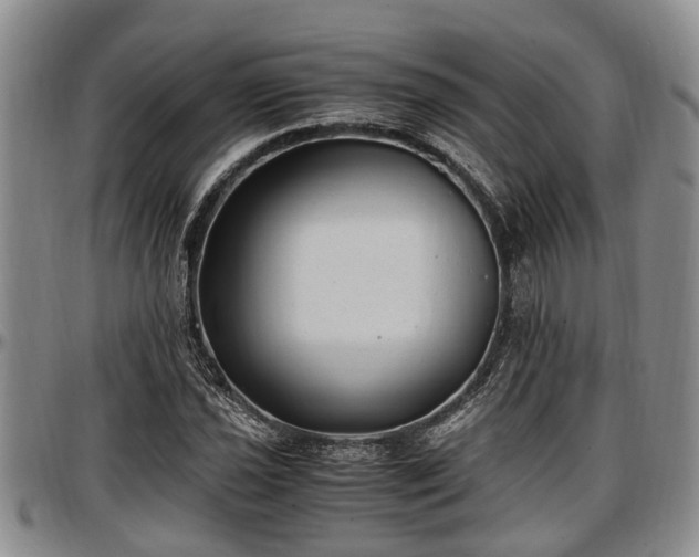 X0000097501021200802291553
