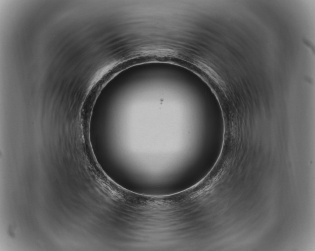 X0000097501022200802291553