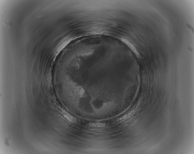 X0000097501023200802291553