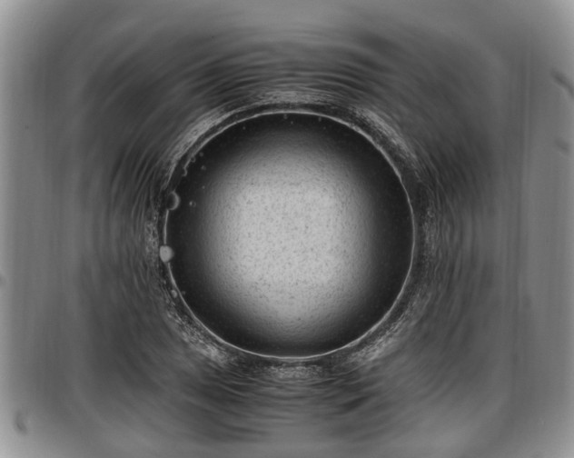 X0000097501025200802291553