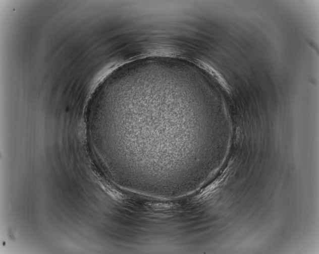 X0000097501027200802291553