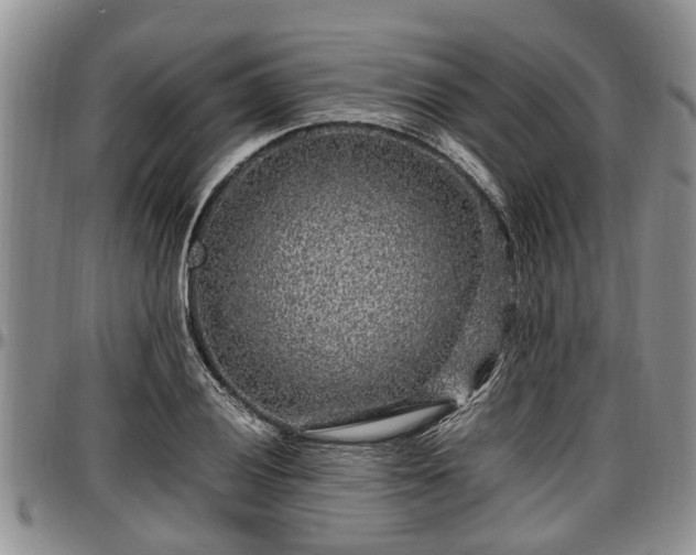 X0000097501028200802291553