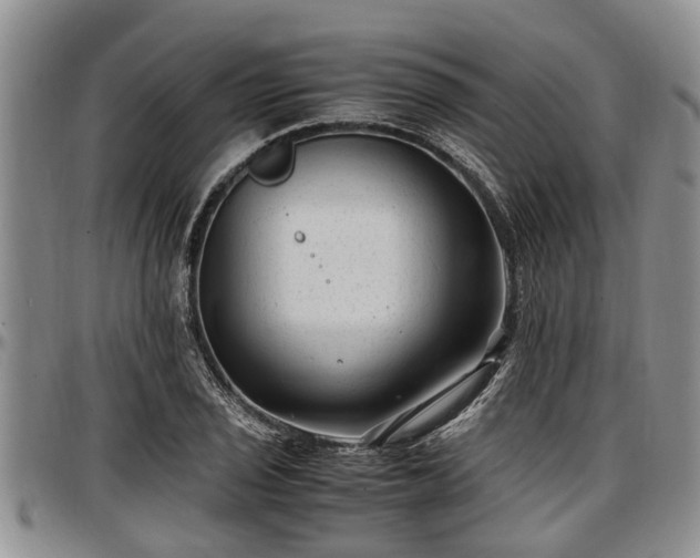 X0000097501029200802291553