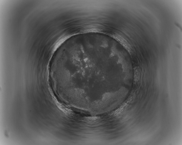 X0000097501031200802291553