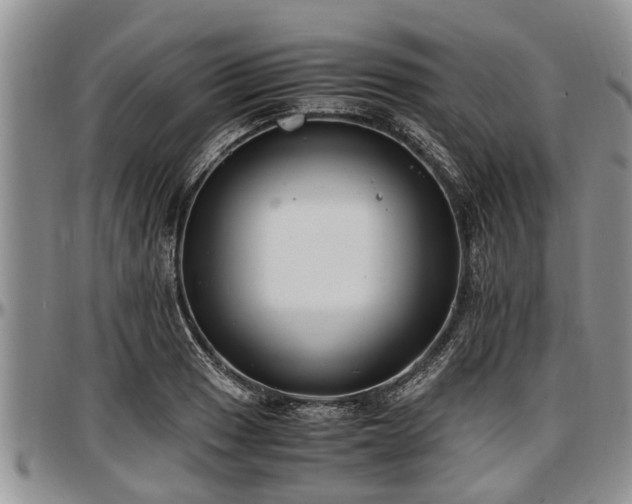 X0000097501033200802291553