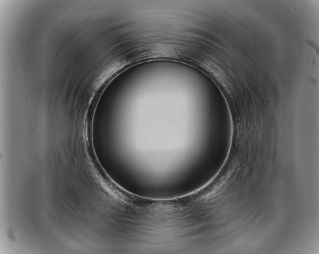 X0000097501034200802291553