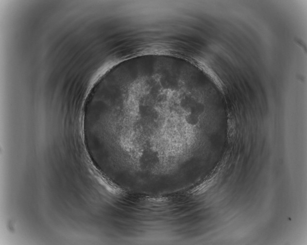 X0000097501035200802291553