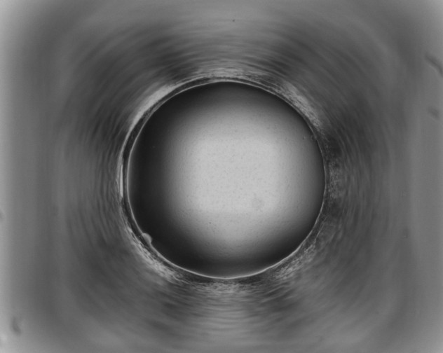 X0000097501036200802291553
