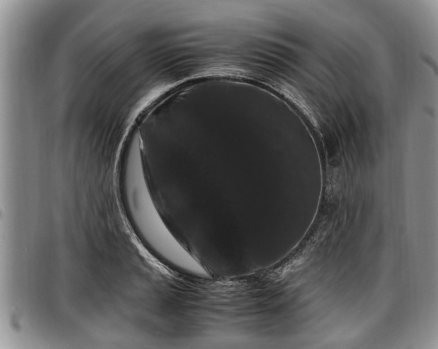 X0000097501037200802291553