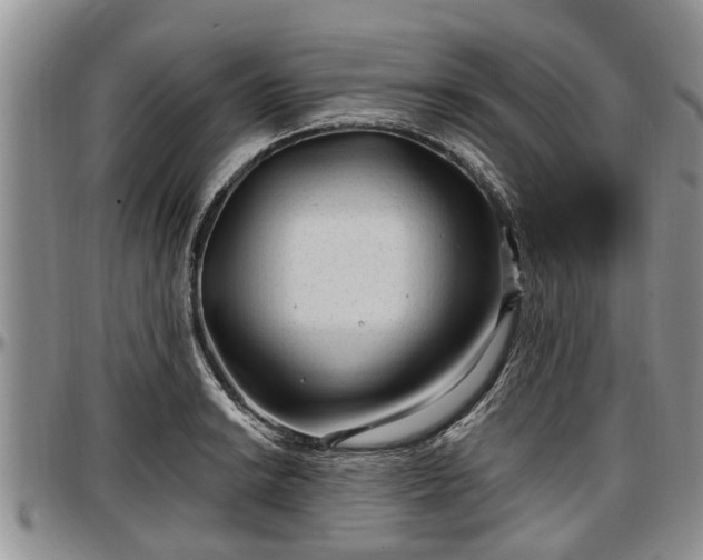 X0000097501038200802291554