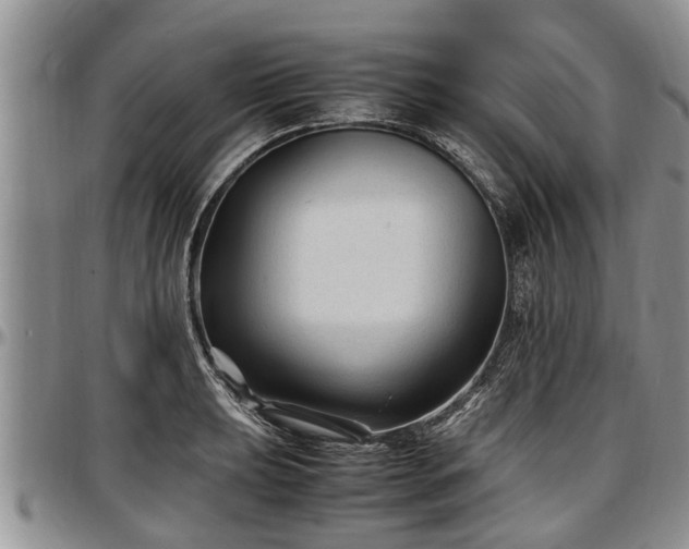 X0000097501039200802291554