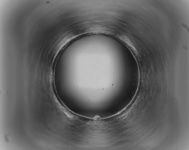 X0000097501040200802291554