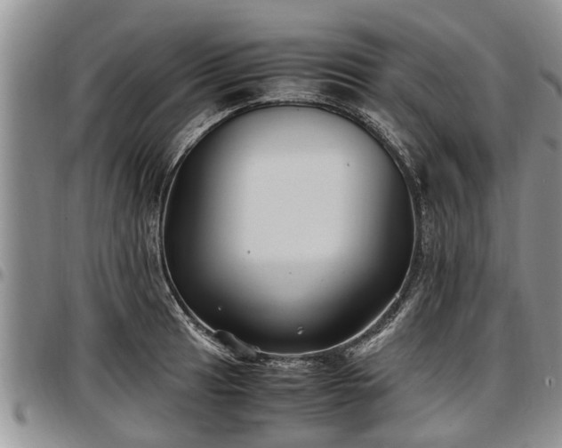 X0000097501041200802291554