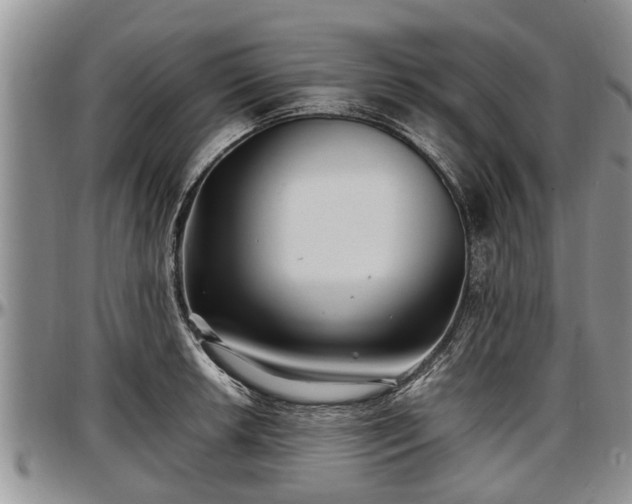 X0000097501042200802291554