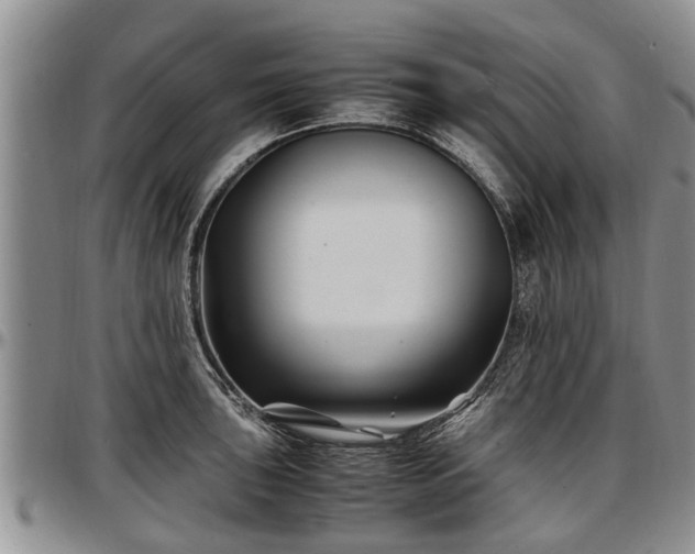 X0000097501043200802291554