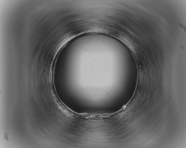 X0000097501044200802291554