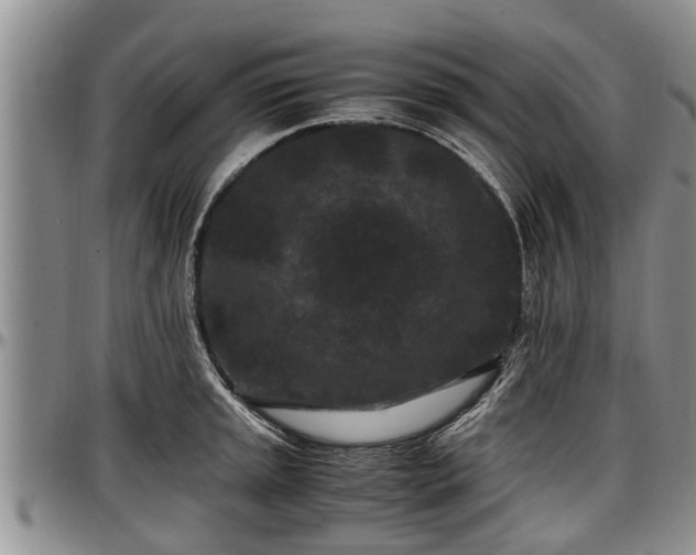 X0000097501045200802291554