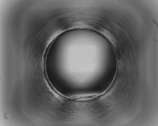 X0000097501046200802291554