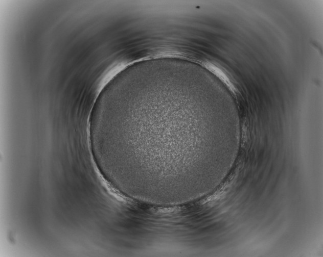 X0000097501047200802291554