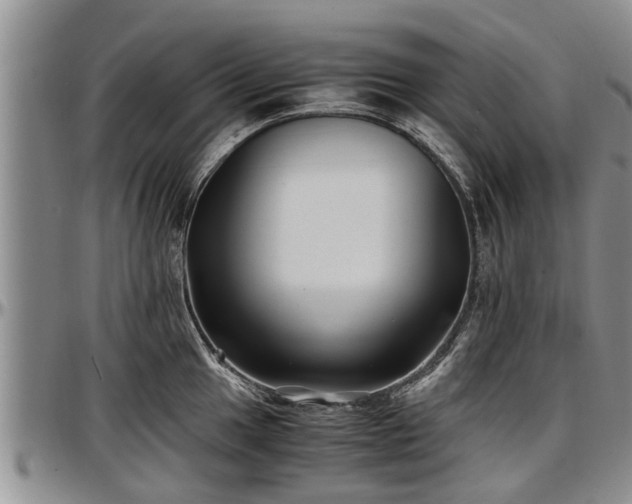 X0000097501049200802291554