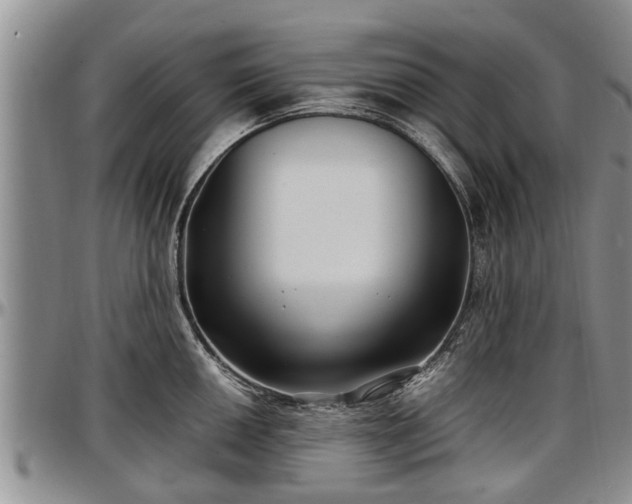 X0000097501050200802291554