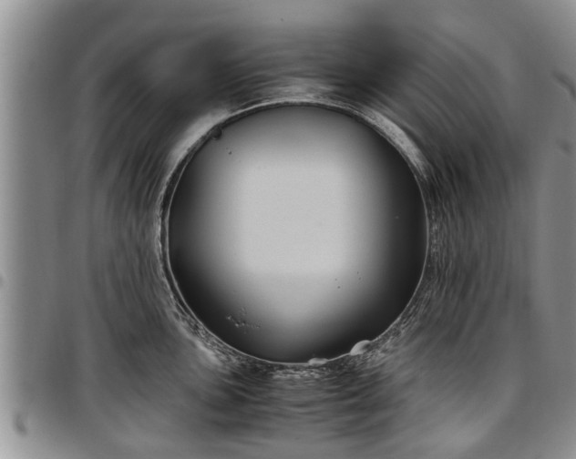 X0000097501051200802291554