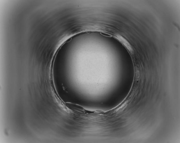 X0000097501052200802291554
