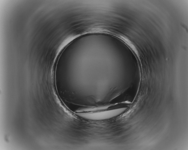 X0000097501053200802291554
