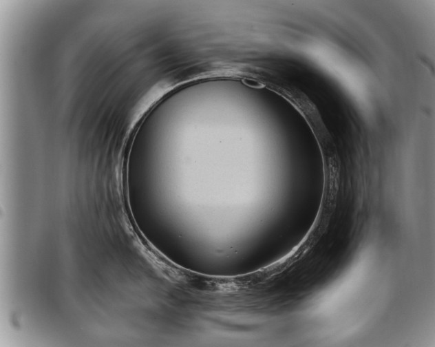 X0000097501054200802291554