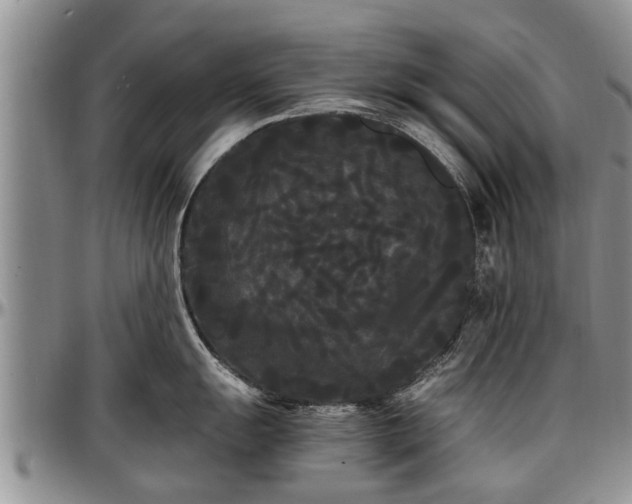 X0000097501055200802291554