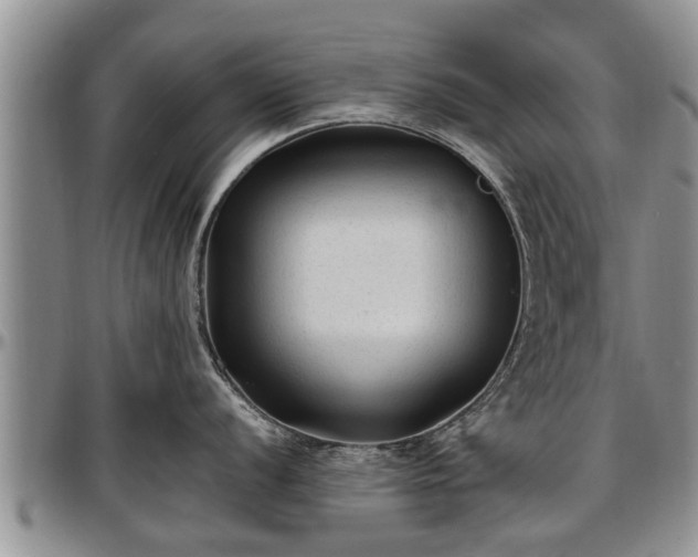 X0000097501056200802291554