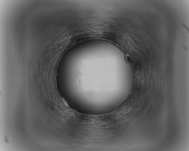 X0000097501057200802291553