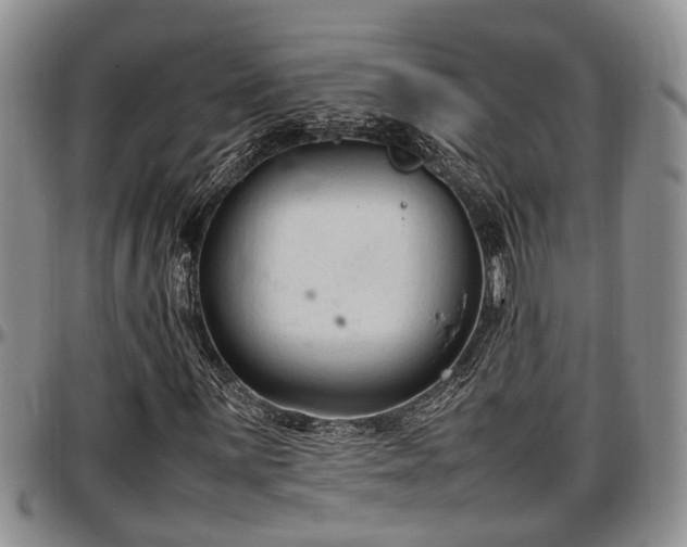 X0000097501059200802291553