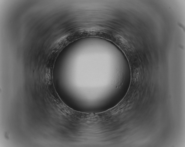 X0000097501062200802291553