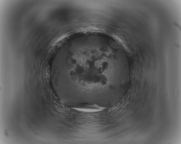X0000097501063200802291553