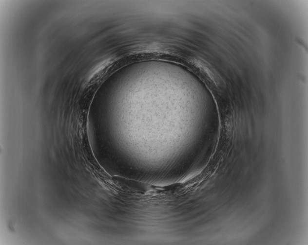 X0000097501064200802291553