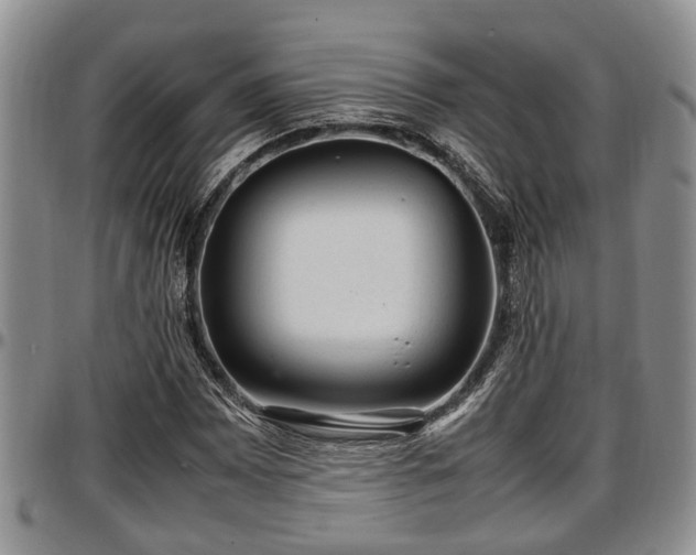 X0000097501065200802291553