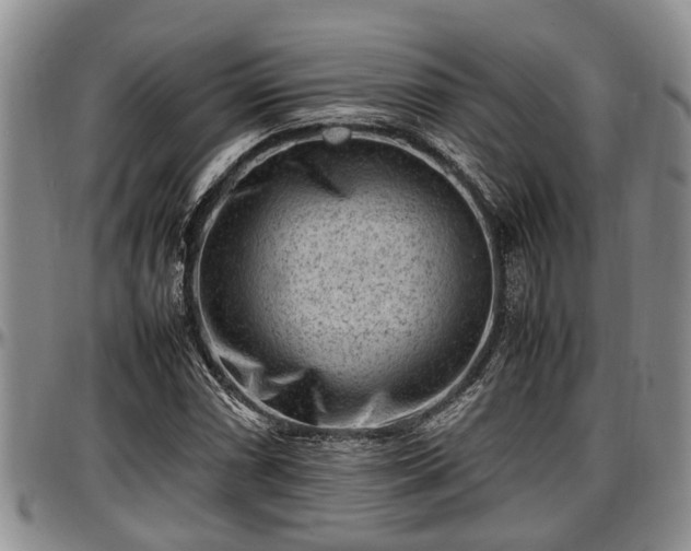 X0000097501066200802291553