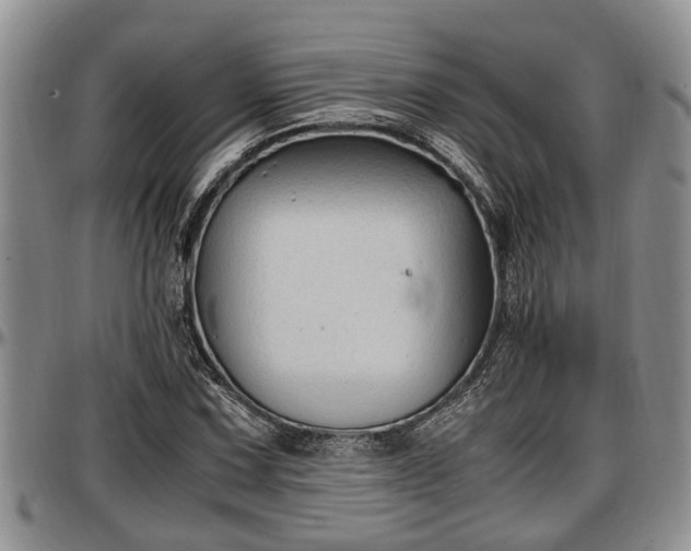X0000097501067200802291553